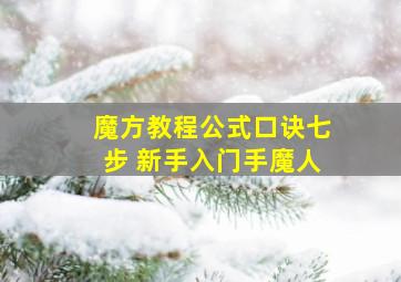 魔方教程公式口诀七步 新手入门手魔人